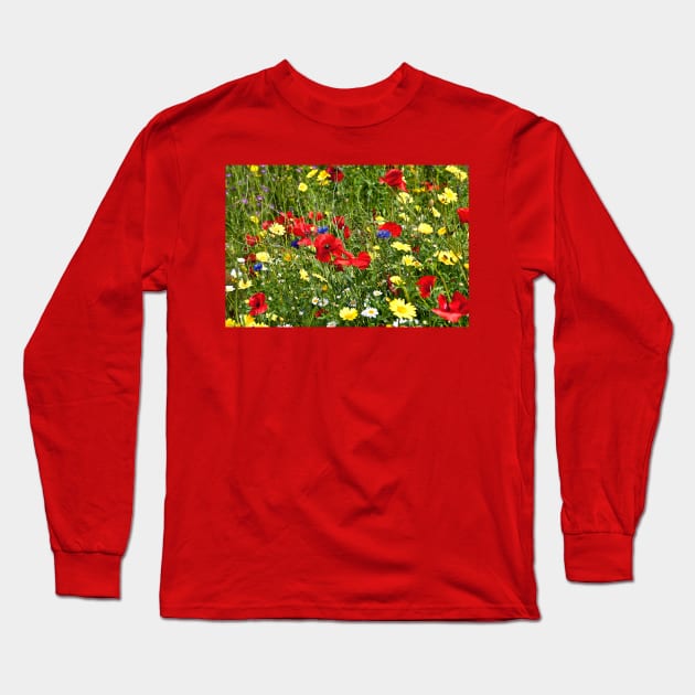 Colourful Wild Flowers Long Sleeve T-Shirt by Violaman